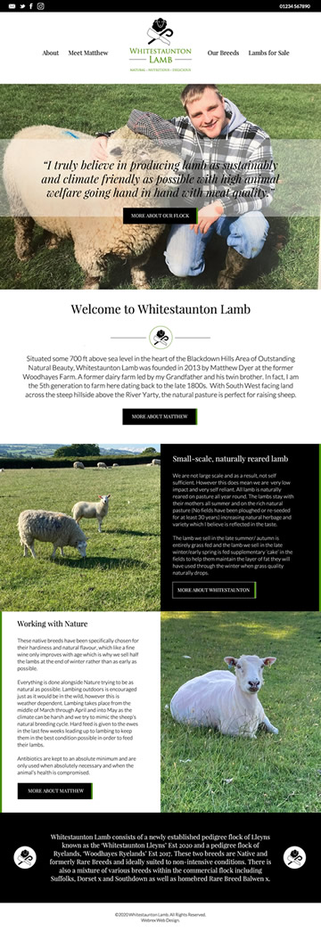 Whitestaunton Lamb Web Design